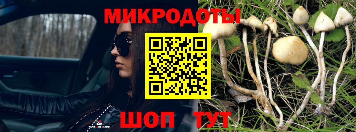 Псилоцибиновые грибы мицелий  Вход с VPN  Урус-Мартан 