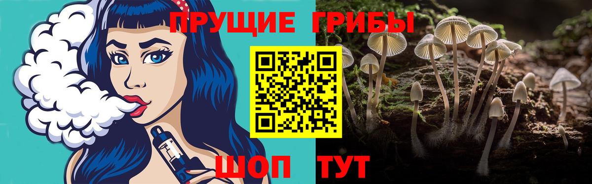 Галлюциногенные грибы прущие грибы Урус-Мартан